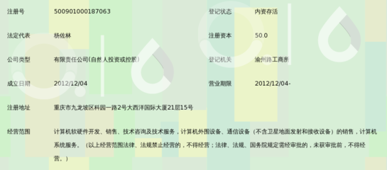 重庆善尚信息技术